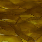 Golden Olive