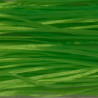 Fluorescent Chartreuse