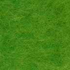Insect Green