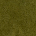 Green Drake
