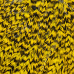 grizzly dyed yellow