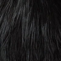 whiting-bird-fur-black-2_1024x1024_d1cbc9a6-52e3-4