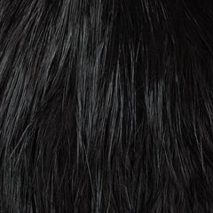 whiting-bird-fur-black-2_1024x1024_d1cbc9a6-52e3-4