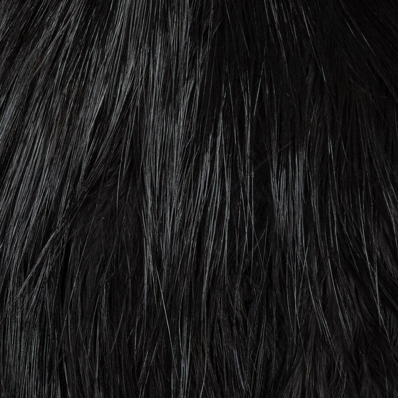whiting-bird-fur-black-2_1024x1024_d1cbc9a6-52e3-4
