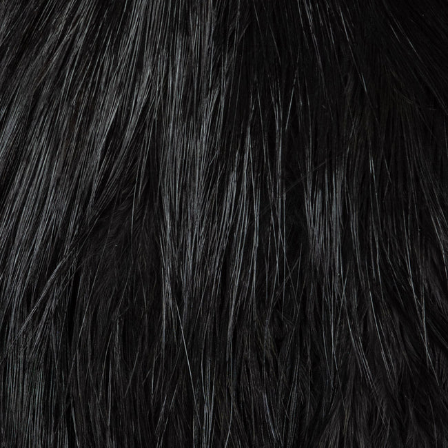 Bird Fur