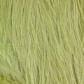 Bird Fur