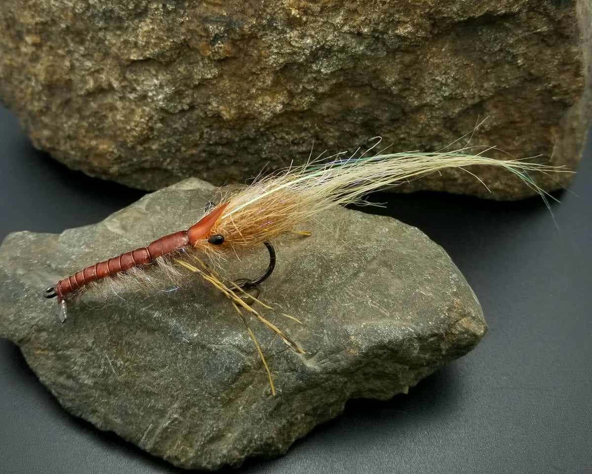 Yewchuck's Shrimp