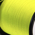 Fluoro Brite