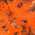 hot orange