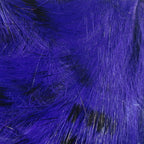 bright purple