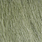 gray olive