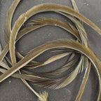 brown olive