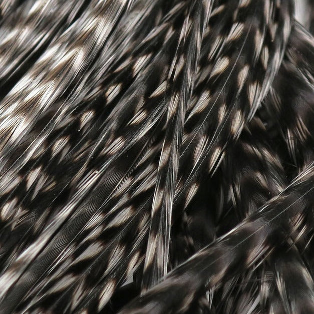 1KG106