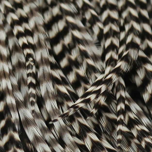 Keough Hackle Keough Grizzly Half Saddle Hackle - Grade #2 Brown