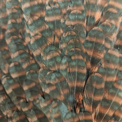 20221021-122257