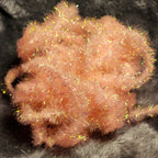 shrimp pink