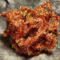 Krystal Flash Chenille