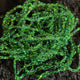 20221024-205753