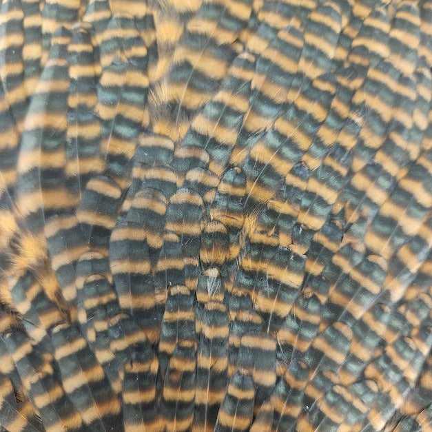 Select Hen Saddle
