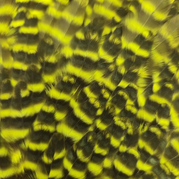 20221025-080944