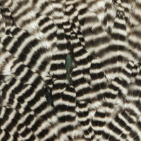 20221025-081015
