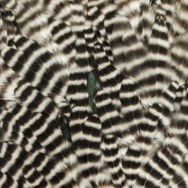 20221025-081015