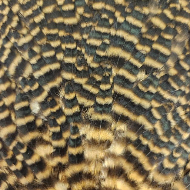 Select Hen Saddle