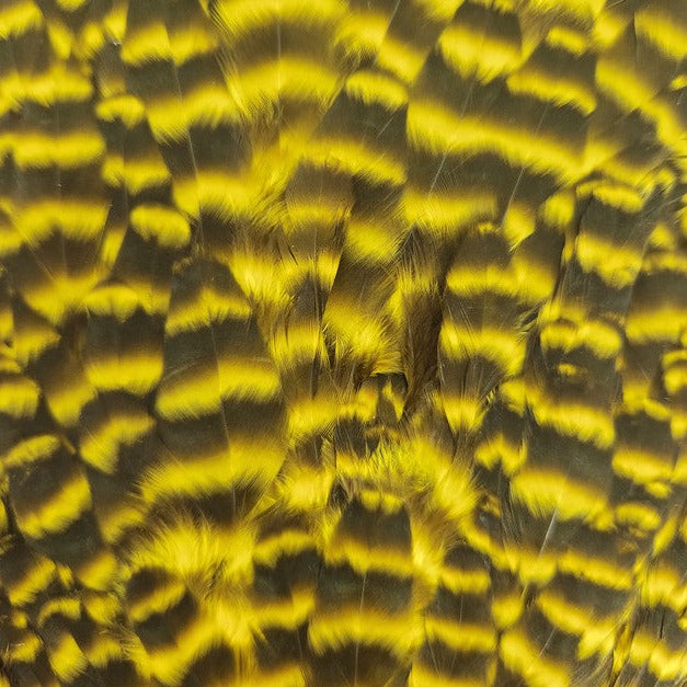20221025-081158