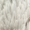 Select Hen Saddle