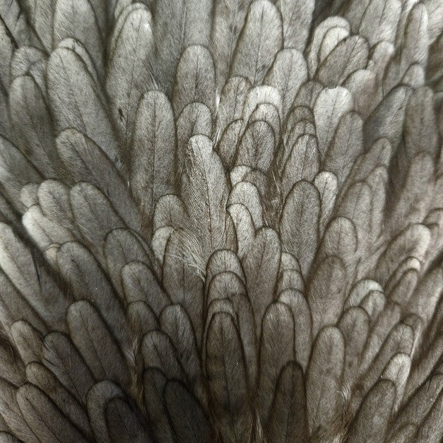 20221025-083941