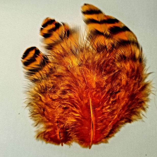 Grizzly Collaring Hackle
