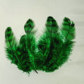 Grizzly Collaring Hackle