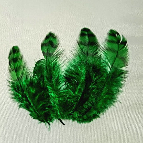 Grizzly Collaring Hackle