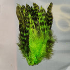 fl. chartreuse