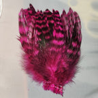 fl. hot pink