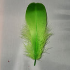 fl. chartreuse