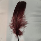 claret