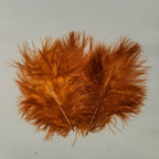 crawdad orange