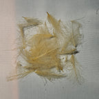 tannish yellow