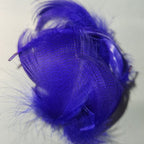fl. purple