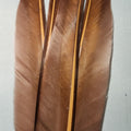 Duck Quills