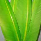 fl. chartreuse