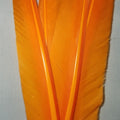Duck Quills