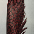 Golden Pheasant Center Tail Piece
