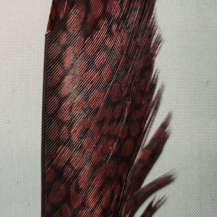 Golden Pheasant Center Tail Piece