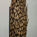 Golden Pheasant Center Tail Piece
