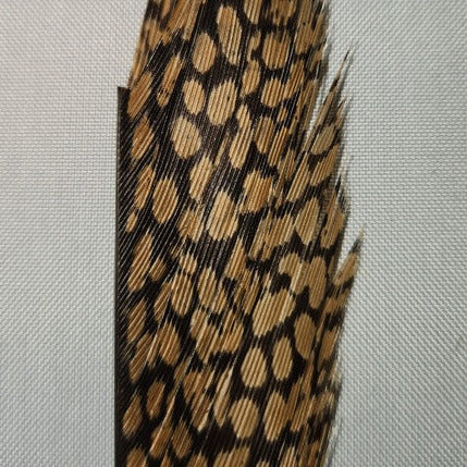 Golden Pheasant Center Tail Piece