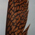 Golden Pheasant Center Tail Piece