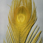 golden yellow