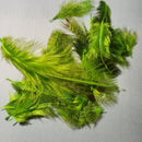 Natures Spirit Premium Partridge Feathers – Fly Tying Material For Freshwater & Saltwater